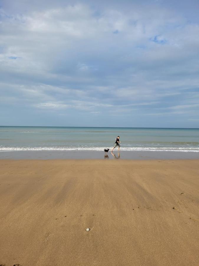 "Mon Evidence!" Magnifique Appartement Vue Mer Et Acces Direct A La Plage Villers-sur-Mer Exteriör bild